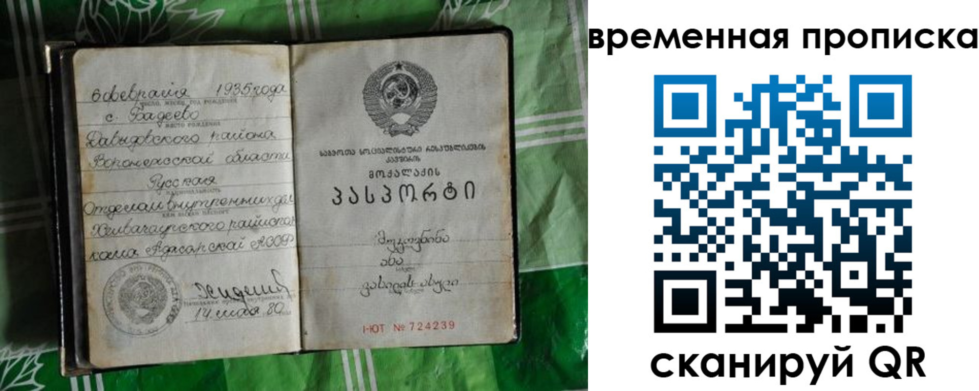 прописка в Рославле